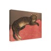 Trademark Fine Art Thophile-Alexandre Steinlen 'Cat on a Cushion' Canvas Art, 14x19 IC02064-C1419GG
